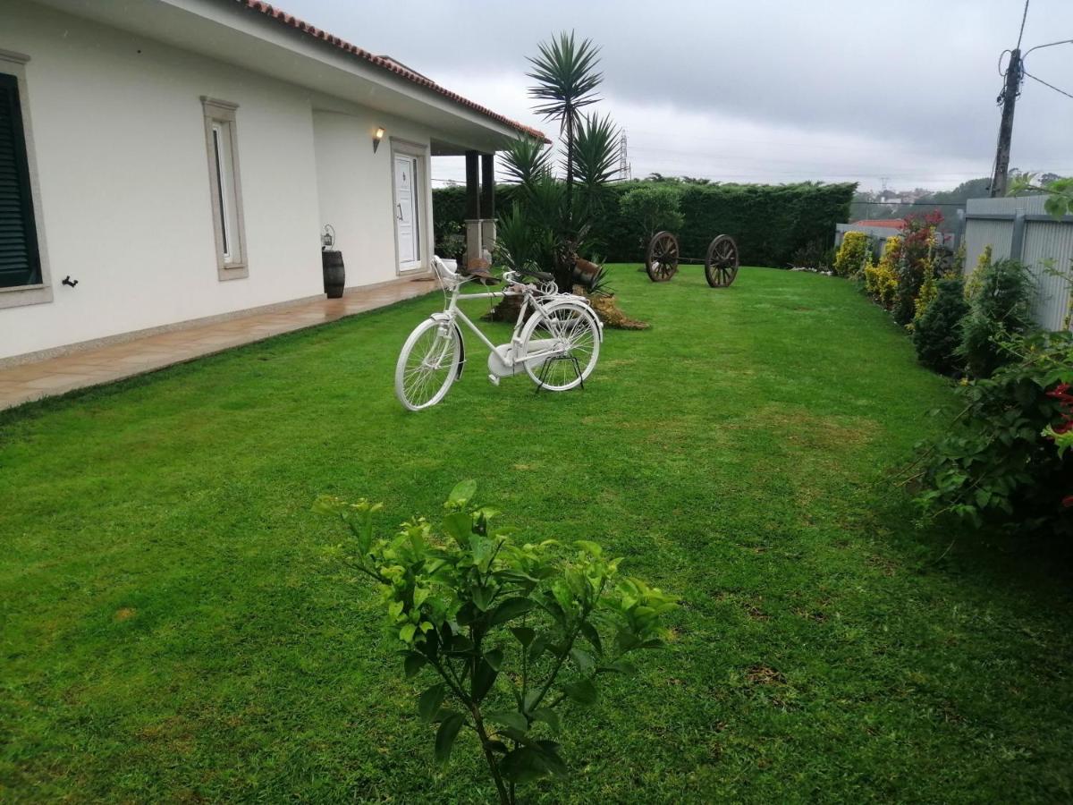 Terreno Das Mimosas Apartment Aveiro Exterior photo